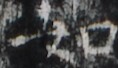 http://hng.chise.org/images/iiif/zinbun/takuhon/kaisei/H1002.tif/2021,1961,118,68/full/0/default.jpg