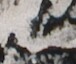 http://hng.chise.org/images/iiif/zinbun/takuhon/kaisei/H1002.tif/2033,1535,76,64/full/0/default.jpg