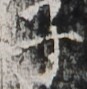 http://hng.chise.org/images/iiif/zinbun/takuhon/kaisei/H1002.tif/2038,2618,87,89/full/0/default.jpg