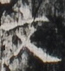 http://hng.chise.org/images/iiif/zinbun/takuhon/kaisei/H1002.tif/2040,2505,92,101/full/0/default.jpg