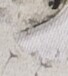 http://hng.chise.org/images/iiif/zinbun/takuhon/kaisei/H1002.tif/2067,3851,68,76/full/0/default.jpg