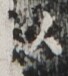 http://hng.chise.org/images/iiif/zinbun/takuhon/kaisei/H1002.tif/2070,2851,68,76/full/0/default.jpg