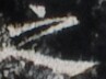 http://hng.chise.org/images/iiif/zinbun/takuhon/kaisei/H1002.tif/2147,1320,97,72/full/0/default.jpg