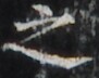 http://hng.chise.org/images/iiif/zinbun/takuhon/kaisei/H1002.tif/2154,1858,91,72/full/0/default.jpg
