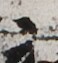 http://hng.chise.org/images/iiif/zinbun/takuhon/kaisei/H1002.tif/2172,5071,58,63/full/0/default.jpg