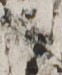 http://hng.chise.org/images/iiif/zinbun/takuhon/kaisei/H1002.tif/2191,3388,62,75/full/0/default.jpg