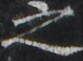 http://hng.chise.org/images/iiif/zinbun/takuhon/kaisei/H1002.tif/2259,1953,83,61/full/0/default.jpg