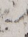 http://hng.chise.org/images/iiif/zinbun/takuhon/kaisei/H1002.tif/2263,1021,57,75/full/0/default.jpg