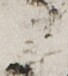 http://hng.chise.org/images/iiif/zinbun/takuhon/kaisei/H1002.tif/2279,3684,68,76/full/0/default.jpg