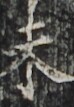 http://hng.chise.org/images/iiif/zinbun/takuhon/kaisei/H1002.tif/2397,3690,74,107/full/0/default.jpg
