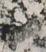 http://hng.chise.org/images/iiif/zinbun/takuhon/kaisei/H1002.tif/2400,3855,68,76/full/0/default.jpg