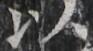http://hng.chise.org/images/iiif/zinbun/takuhon/kaisei/H1002.tif/2624,2410,93,51/full/0/default.jpg