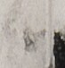 http://hng.chise.org/images/iiif/zinbun/takuhon/kaisei/H1002.tif/2629,4847,73,76/full/0/default.jpg