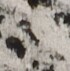 http://hng.chise.org/images/iiif/zinbun/takuhon/kaisei/H1002.tif/2650,3837,70,71/full/0/default.jpg