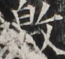 http://hng.chise.org/images/iiif/zinbun/takuhon/kaisei/H1002.tif/2757,3816,93,84/full/0/default.jpg