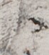 http://hng.chise.org/images/iiif/zinbun/takuhon/kaisei/H1002.tif/2769,4283,69,78/full/0/default.jpg