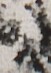 http://hng.chise.org/images/iiif/zinbun/takuhon/kaisei/H1002.tif/2785,3936,51,73/full/0/default.jpg