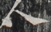 http://hng.chise.org/images/iiif/zinbun/takuhon/kaisei/H1002.tif/2853,5722,103,64/full/0/default.jpg