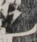 http://hng.chise.org/images/iiif/zinbun/takuhon/kaisei/H1002.tif/2877,4272,72,82/full/0/default.jpg