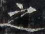 http://hng.chise.org/images/iiif/zinbun/takuhon/kaisei/H1002.tif/2977,1431,91,70/full/0/default.jpg