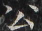 http://hng.chise.org/images/iiif/zinbun/takuhon/kaisei/H1002.tif/2989,3155,85,62/full/0/default.jpg