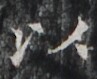 http://hng.chise.org/images/iiif/zinbun/takuhon/kaisei/H1002.tif/3085,5496,97,79/full/0/default.jpg