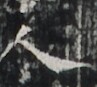 http://hng.chise.org/images/iiif/zinbun/takuhon/kaisei/H1002.tif/3103,7019,97,87/full/0/default.jpg