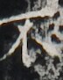 http://hng.chise.org/images/iiif/zinbun/takuhon/kaisei/H1002.tif/3118,4393,72,91/full/0/default.jpg