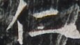 http://hng.chise.org/images/iiif/zinbun/takuhon/kaisei/H1002.tif/3332,5839,115,65/full/0/default.jpg