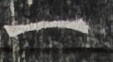 http://hng.chise.org/images/iiif/zinbun/takuhon/kaisei/H1002.tif/3342,6286,113,62/full/0/default.jpg