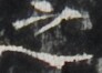 http://hng.chise.org/images/iiif/zinbun/takuhon/kaisei/H1002.tif/3351,2512,92,66/full/0/default.jpg