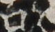 http://hng.chise.org/images/iiif/zinbun/takuhon/kaisei/H1002.tif/3354,787,79,47/full/0/default.jpg
