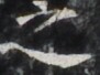 http://hng.chise.org/images/iiif/zinbun/takuhon/kaisei/H1002.tif/3476,1765,91,68/full/0/default.jpg