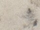 http://hng.chise.org/images/iiif/zinbun/takuhon/kaisei/H1002.tif/3491,677,81,61/full/0/default.jpg