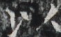 http://hng.chise.org/images/iiif/zinbun/takuhon/kaisei/H1002.tif/3593,5413,88,54/full/0/default.jpg