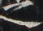 http://hng.chise.org/images/iiif/zinbun/takuhon/kaisei/H1002.tif/3598,2886,87,63/full/0/default.jpg