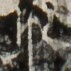 http://hng.chise.org/images/iiif/zinbun/takuhon/kaisei/H1002.tif/3703,664,71,71/full/0/default.jpg