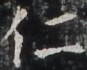 http://hng.chise.org/images/iiif/zinbun/takuhon/kaisei/H1002.tif/3938,6393,87,70/full/0/default.jpg