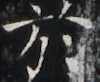 http://hng.chise.org/images/iiif/zinbun/takuhon/kaisei/H1002.tif/4175,4957,100,82/full/0/default.jpg