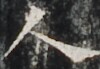 http://hng.chise.org/images/iiif/zinbun/takuhon/kaisei/H1002.tif/4184,4158,100,69/full/0/default.jpg