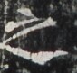 http://hng.chise.org/images/iiif/zinbun/takuhon/kaisei/H1002.tif/4192,6389,85,81/full/0/default.jpg