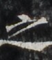 http://hng.chise.org/images/iiif/zinbun/takuhon/kaisei/H1002.tif/4311,5151,76,88/full/0/default.jpg
