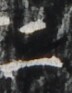 http://hng.chise.org/images/iiif/zinbun/takuhon/kaisei/H1002.tif/4312,5473,72,93/full/0/default.jpg
