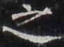 http://hng.chise.org/images/iiif/zinbun/takuhon/kaisei/H1002.tif/4669,5815,91,67/full/0/default.jpg