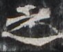 http://hng.chise.org/images/iiif/zinbun/takuhon/kaisei/H1002.tif/4672,3587,92,75/full/0/default.jpg