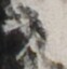 http://hng.chise.org/images/iiif/zinbun/takuhon/kaisei/H1002.tif/5137,2040,62,64/full/0/default.jpg