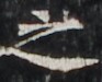 http://hng.chise.org/images/iiif/zinbun/takuhon/kaisei/H1002.tif/5147,3800,93,75/full/0/default.jpg