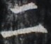 http://hng.chise.org/images/iiif/zinbun/takuhon/kaisei/H1002.tif/5150,5171,73,63/full/0/default.jpg