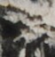 http://hng.chise.org/images/iiif/zinbun/takuhon/kaisei/H1002.tif/5244,2159,62,64/full/0/default.jpg