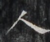 http://hng.chise.org/images/iiif/zinbun/takuhon/kaisei/H1002.tif/5258,4926,102,85/full/0/default.jpg